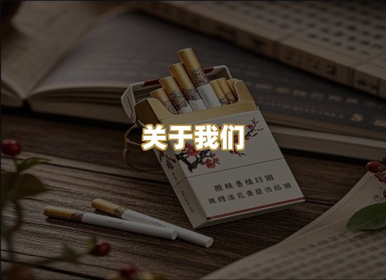 关于我们